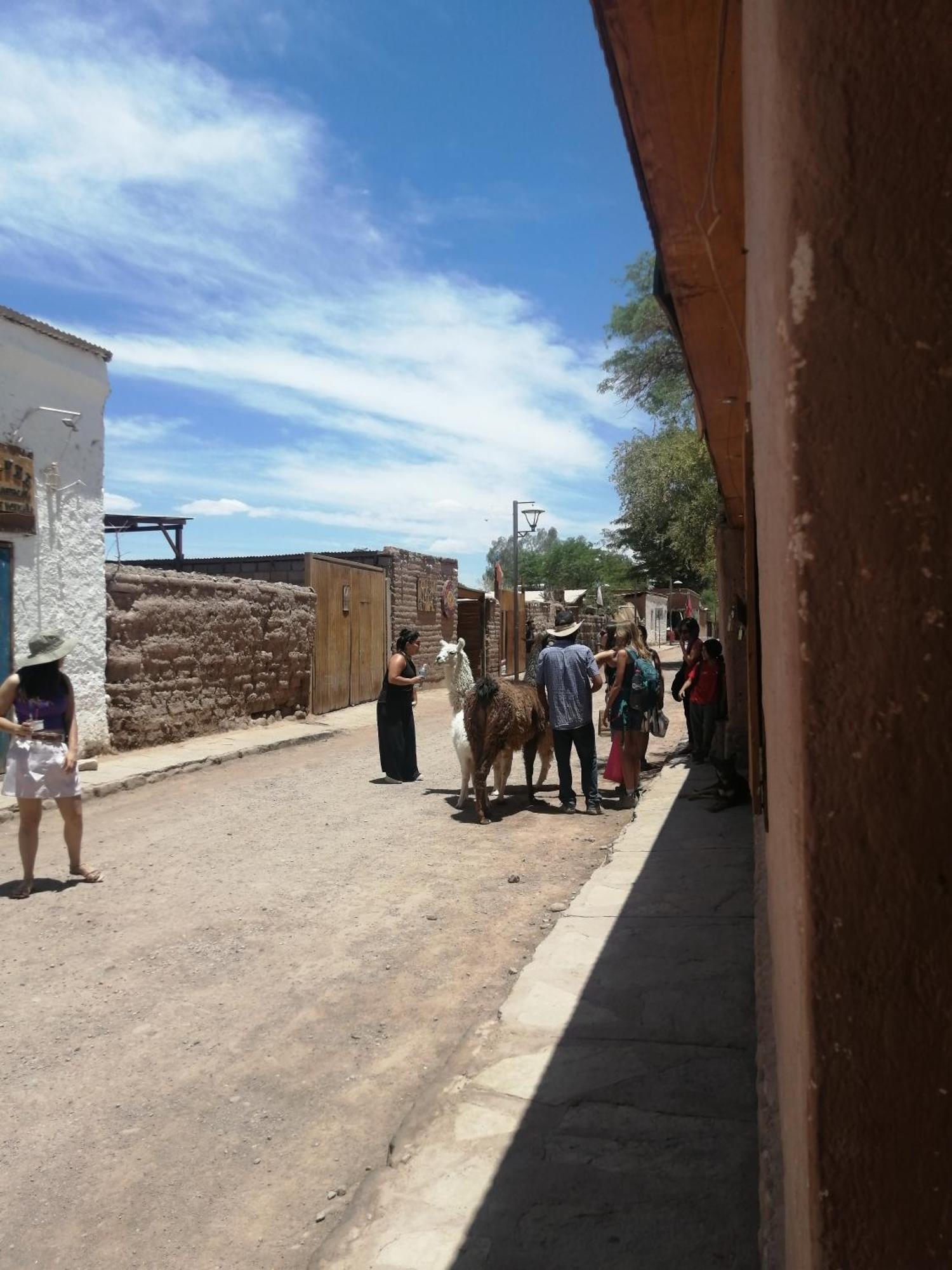 Appartement Viajes & Vida Km0 à San Pedro De Atacama Extérieur photo